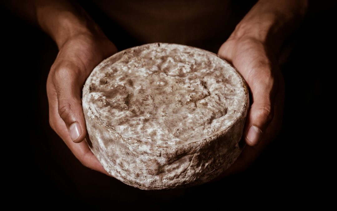 Fromage de bufflonne à Saint-Marcel : un fromage bien particulier