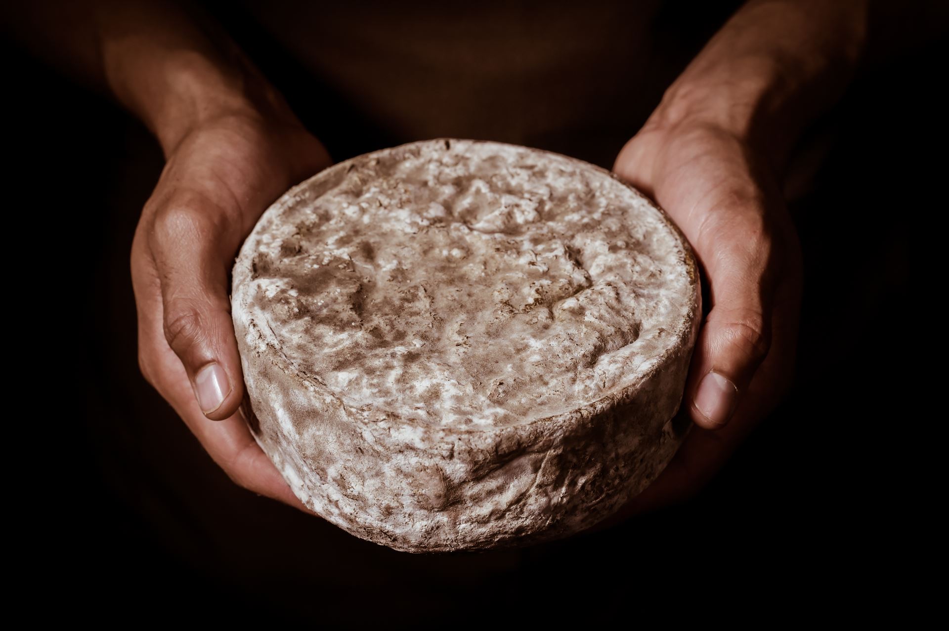 Fromage de bufflonne à Saint-Marcel